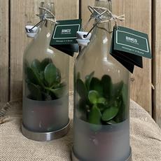 Message in a bottle 
