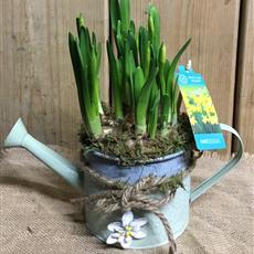 Tete a Tete watering can 