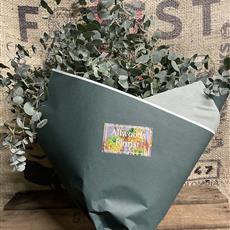 Eucalyptus Bouquet 