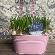 Muscari Planter 